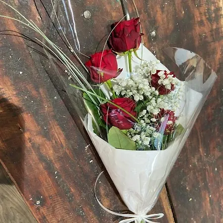 Lit King Size Avec Balnéo Et Grand Balcon, Vue Panoramique, 300 Mètres Couette-café